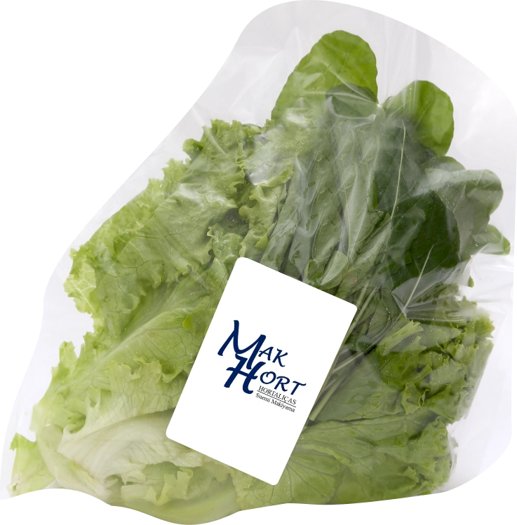 Salada Mista 4 Crespa/rucula 200g Hort Maxi