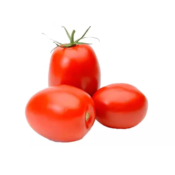 Tomate Italiano 400gr