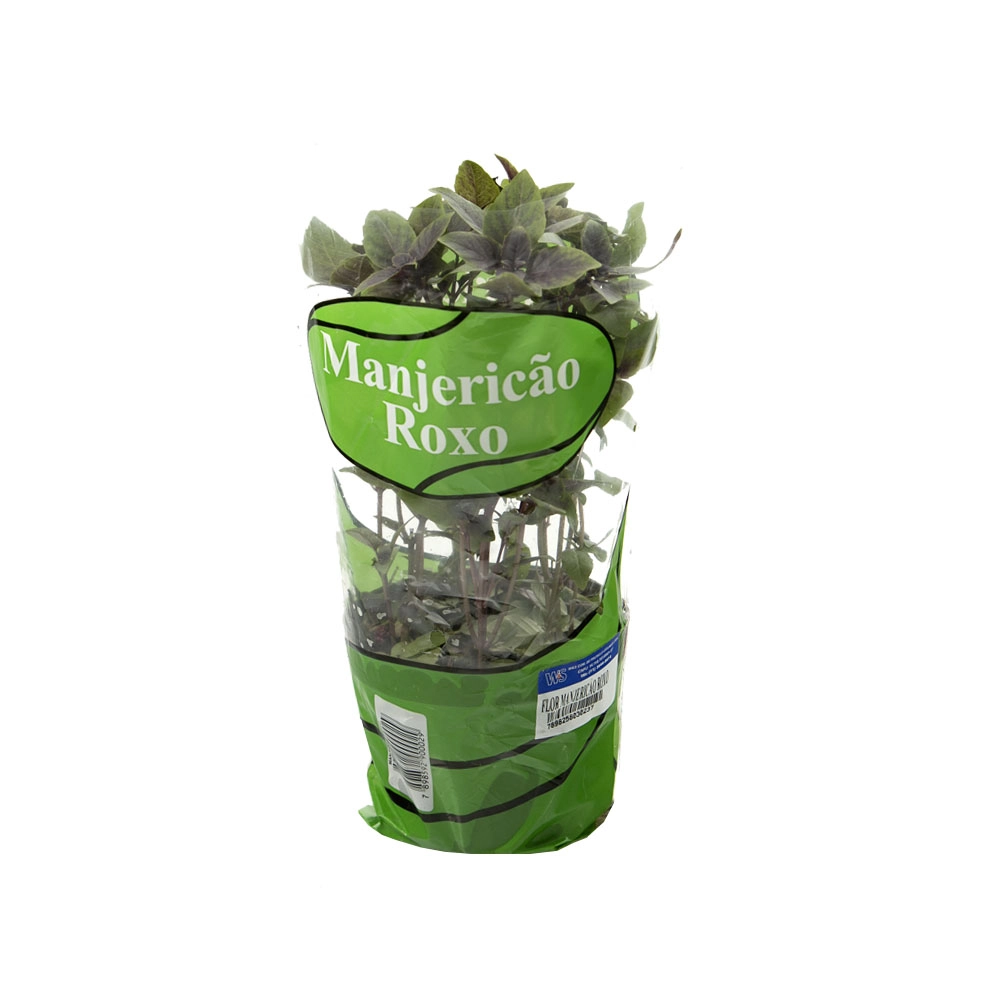 Vale Verde Flor Manjericao Roxo