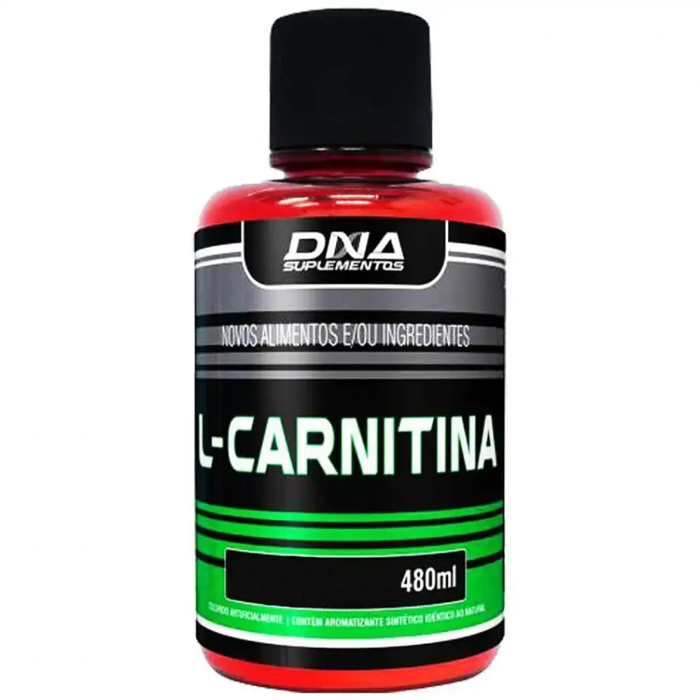 L Carnitina Laranja 480ml D.n.a