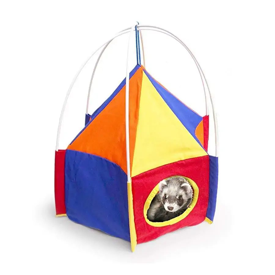 Circo Para Roedores Sem Pele Colorido Animalíssimo