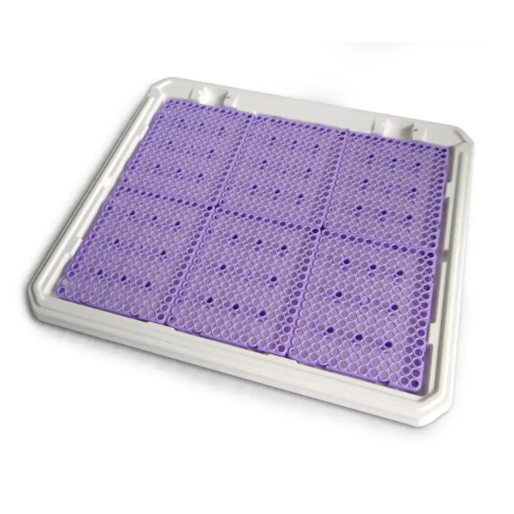 Pipi Place Femea Lilas Animalissimo