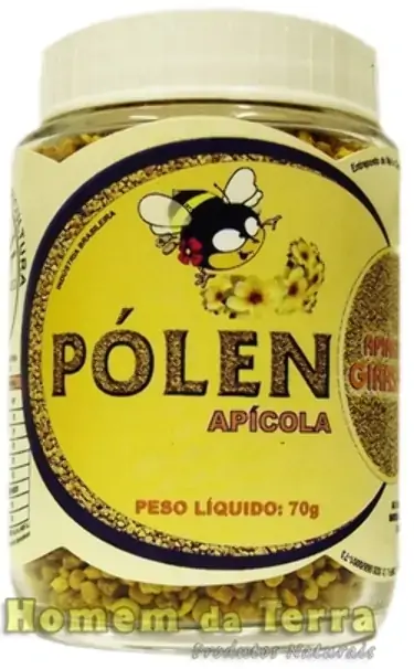 Pólen Apícola Desidratado Apiários Girassol 70g