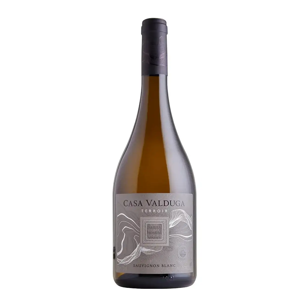 Vinho Bra Casa Valduga Terroir Sauvignon Blanc 750ml