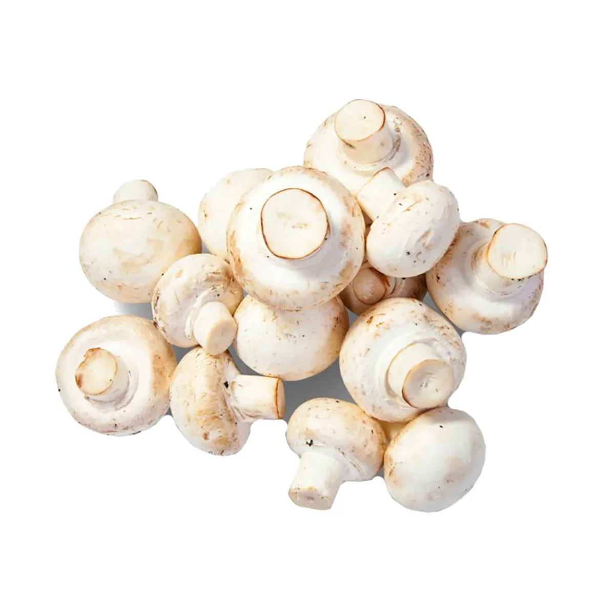 Cogumelo Paris Resfriado São Jose 200g
