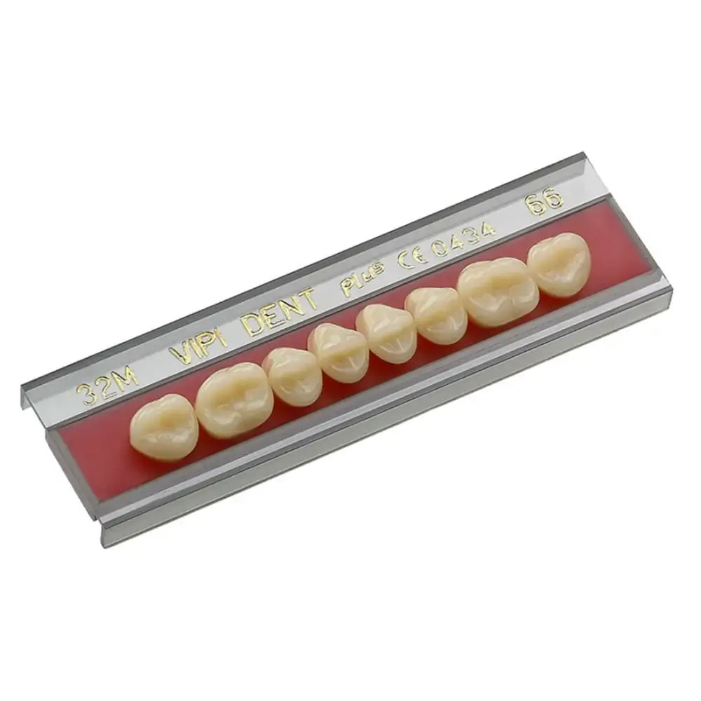 Dente Vipi Dent Plus Posterior Inferior - VIPI - 30m Cor 60 (Cód. 26.3665)