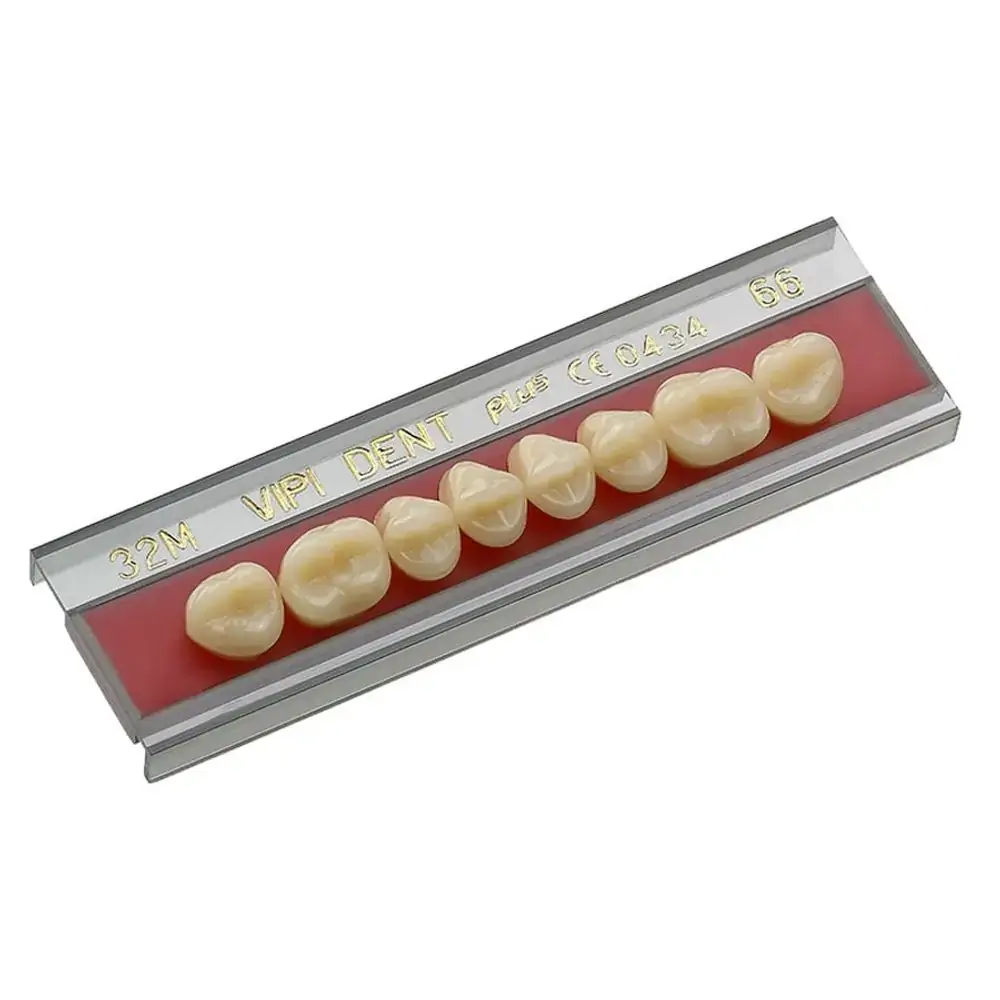 Dente Vipi Dent Plus Posterior Inferior - VIPI - 32m Cor 62 (Cód. 25.8406)