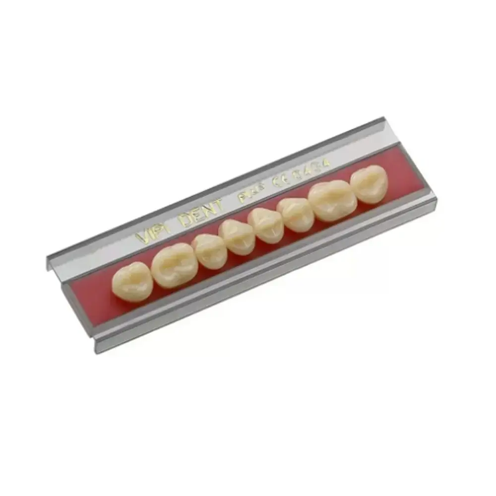 Dente Vipi Dent Plus Posterior Inferior - VIPI - 30m Cor 69 (Cód. 25.3022)