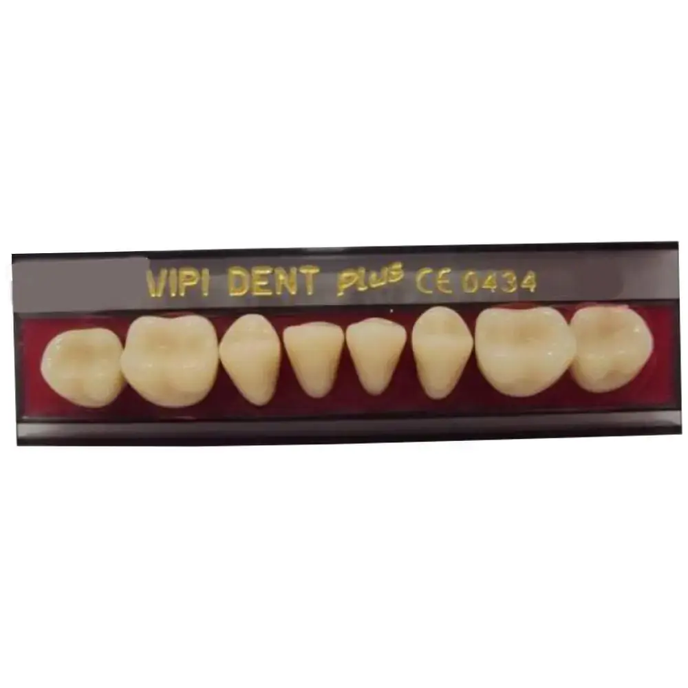 Dente Vipi Dent Plus Posterior Inferior - VIPI - 30m Cor 62 (Cód. 25.2975)