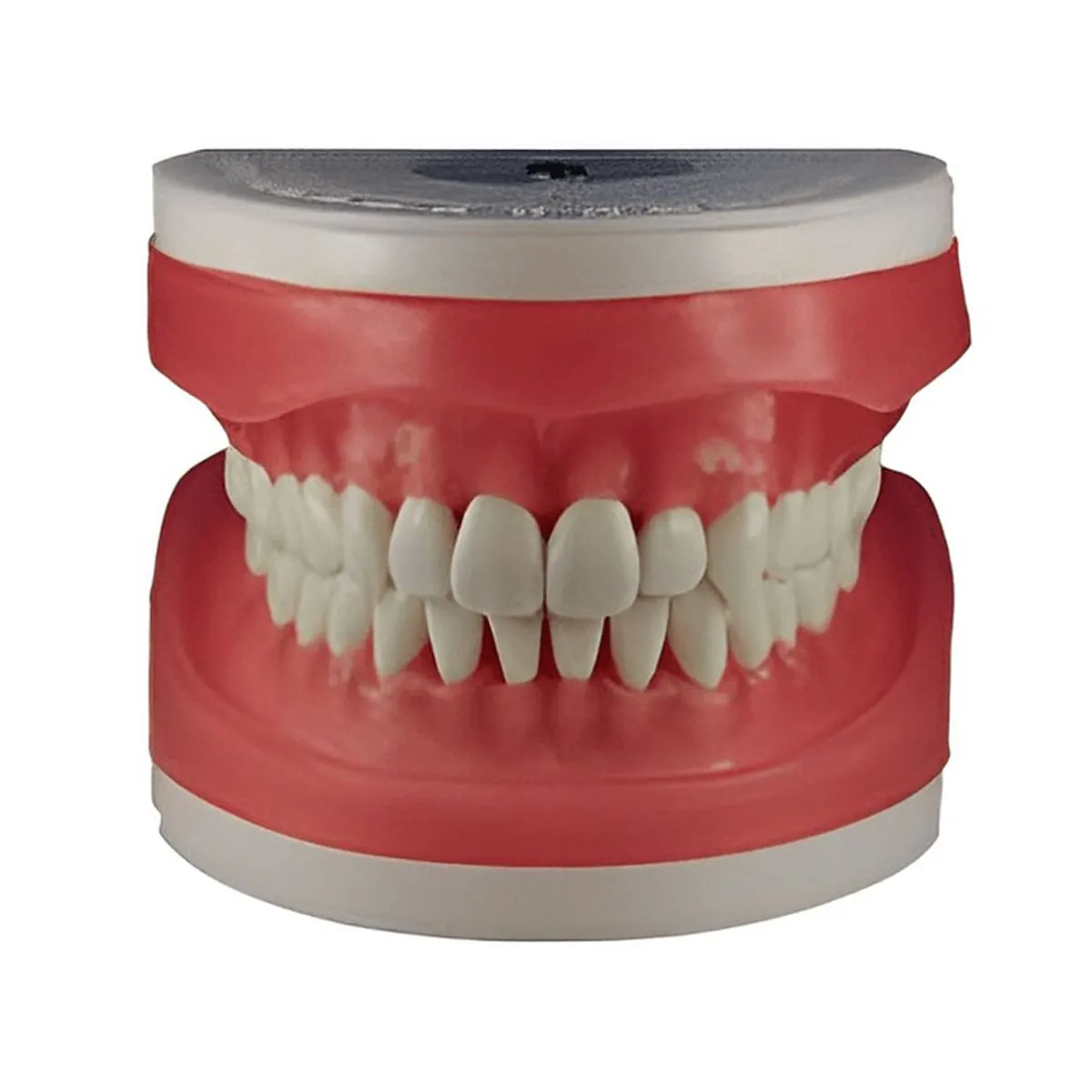 Refil Top Dentística AC103 - Pronew