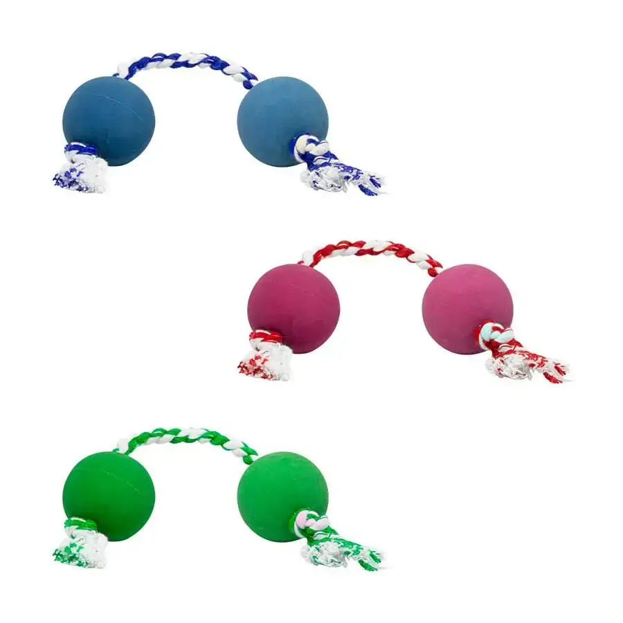 10 Bq.lcm Dental Bone Halteres