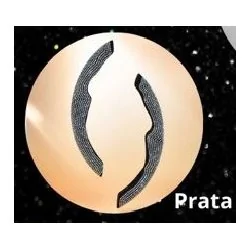Aplique para Volante Preto - ESTAMPARIA PAULISTA CP306