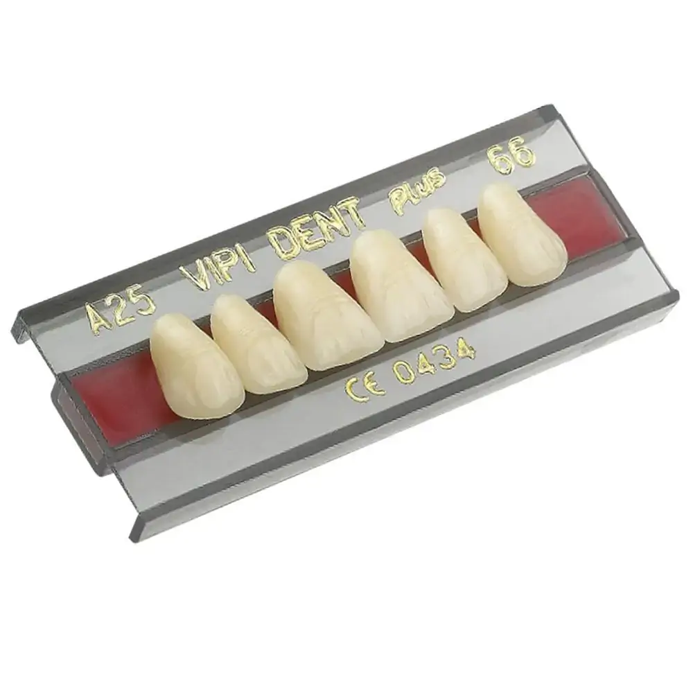 Dente Trilux Anterior Inferior - VIPI - K10i Cor 2b (Cód. 26.3207)