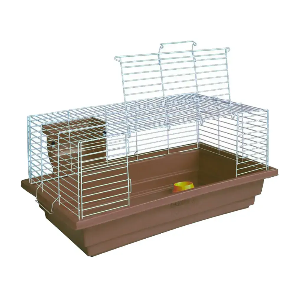 Braganca Gaiola Coelho 80 Standard Br/mr