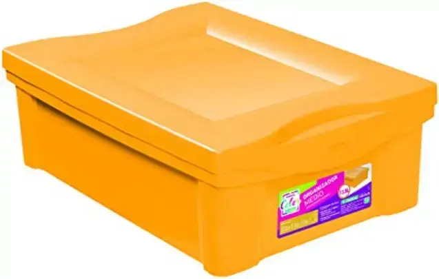 Organizador Ordene Plastico Am. Medio Colors 13,5l