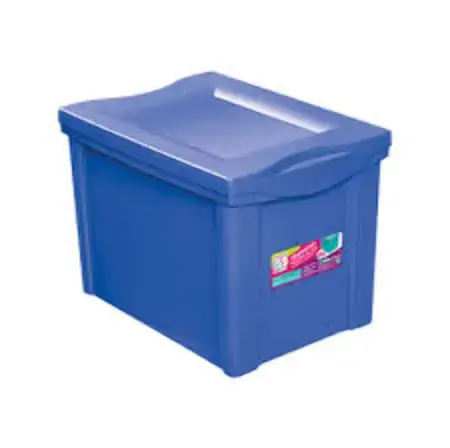 Organizador Ordene Plast Med Alt Colors 30l