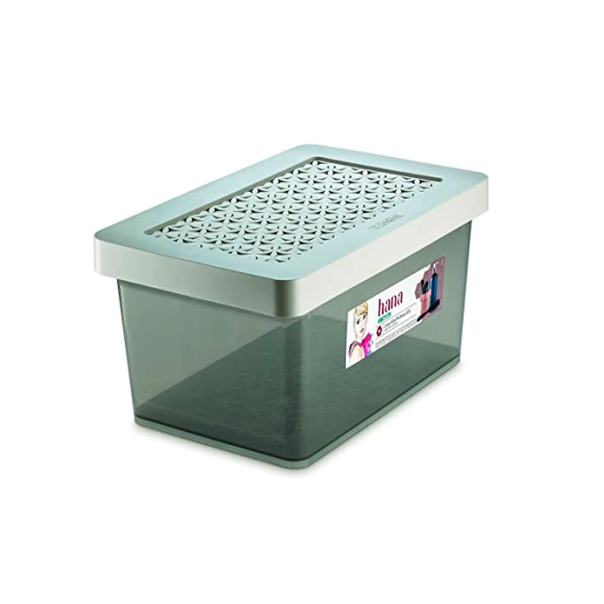 Caixa Org 32x15x20cm 8,5l Gelo Hana