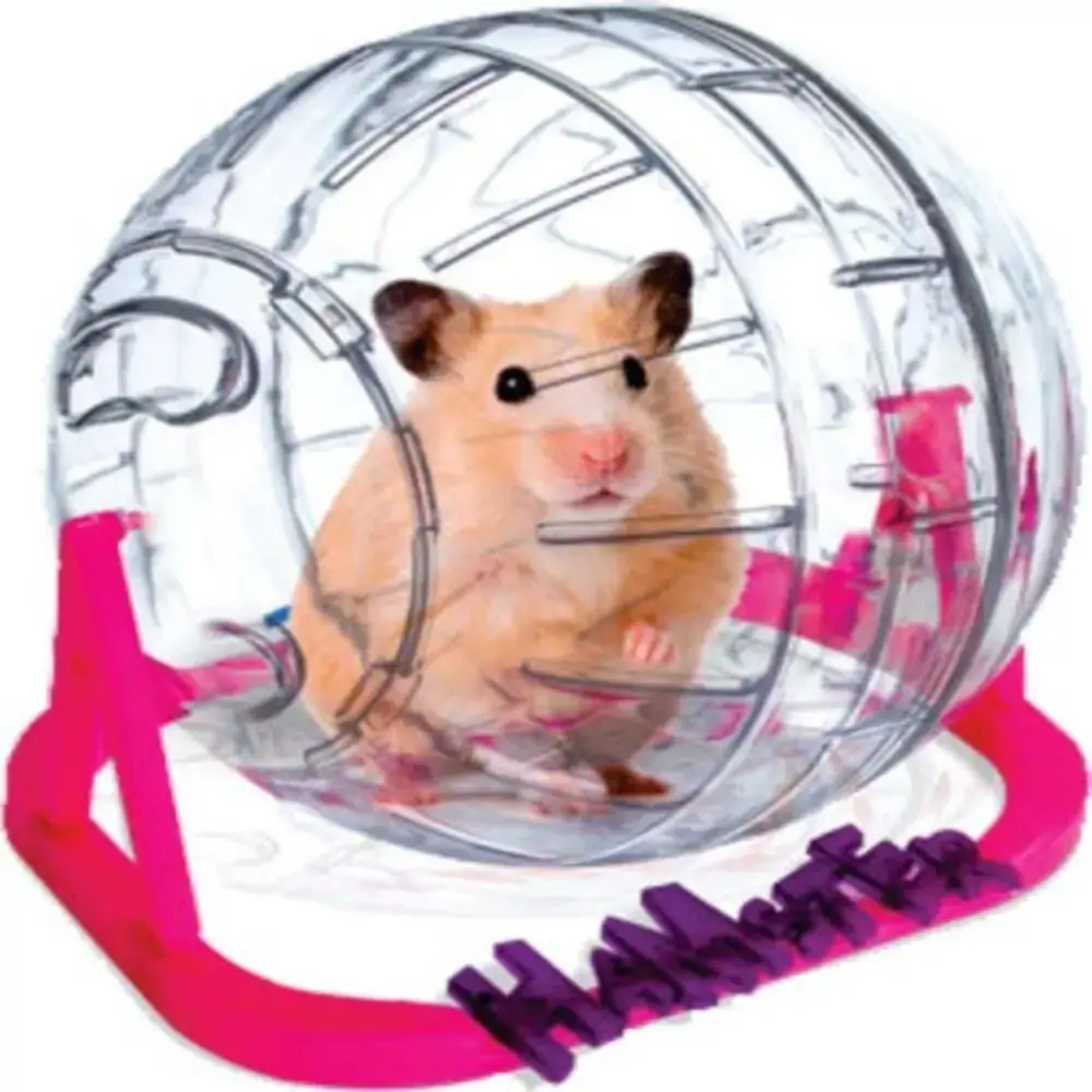 Globo De Exercicio Hamster Ball 17cm