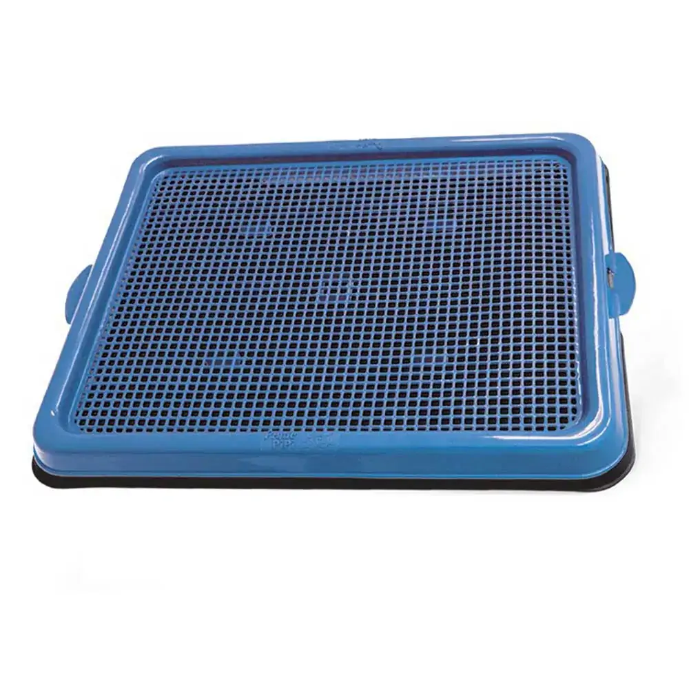 Banheiro Pratic Pipi Pop Azul Agrodog