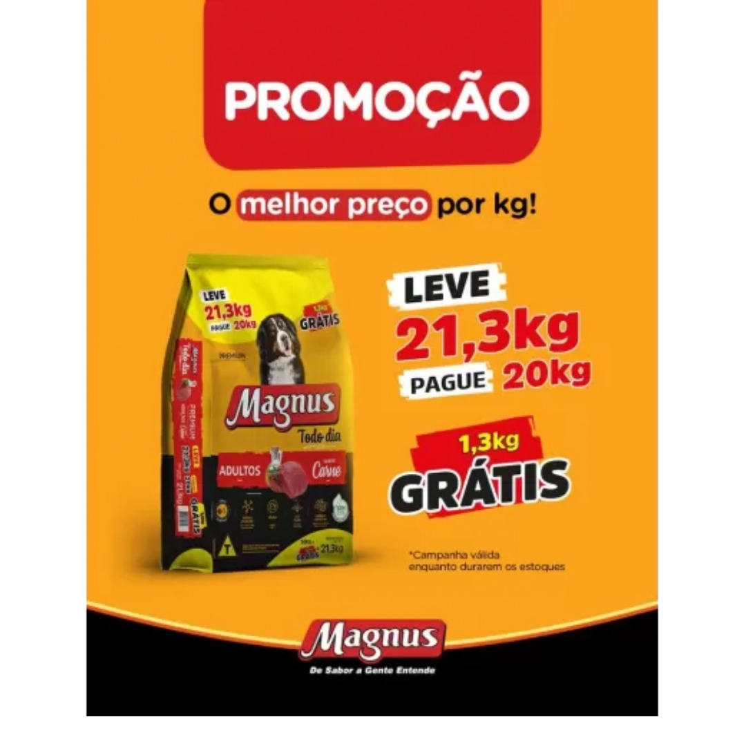 Magnus Caes Todo Dia Adulto Carne Mini/pq 21.3kg