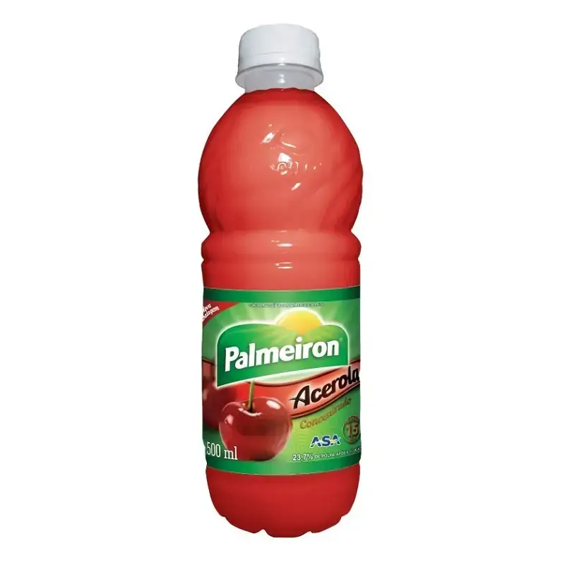 Suco Conc Palmeiron Pet 500ml Acer