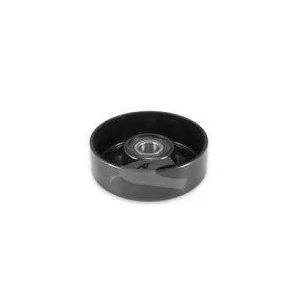Polia do Tensor Alternador LEXUS GS300 - COBRA FE179630