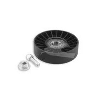 Polia do Tensor Alternador - COBRA LH179025CP