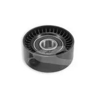 Polia do Tensor Alternador com Ar - COBRA LH176624