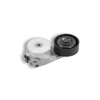 Tensor da Correia do Alternador - COBRA 6902
