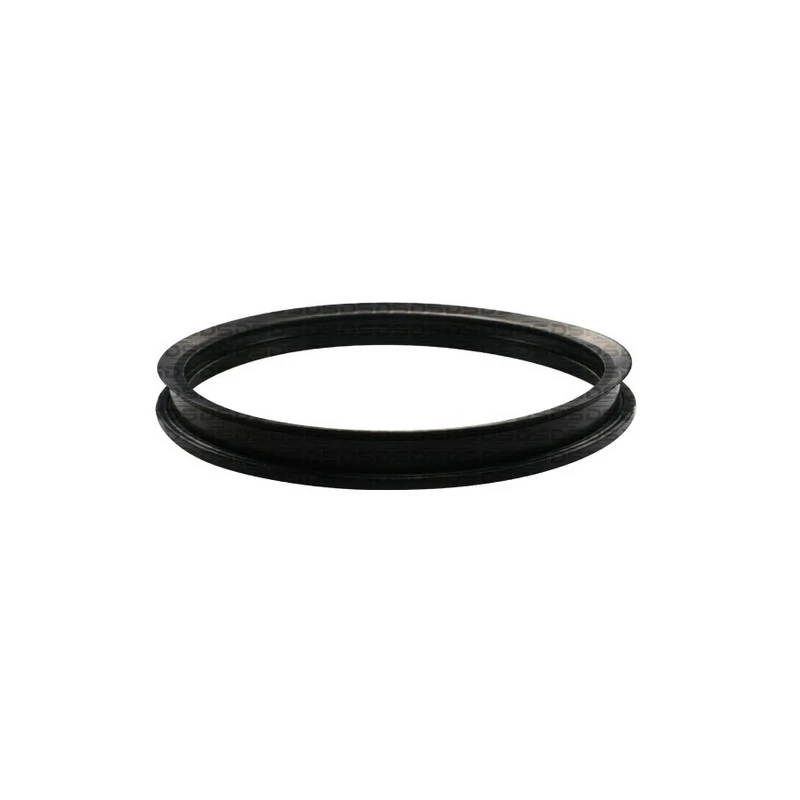 Anel Vedador da Flange da Bomba de Combustível - DS 1456
