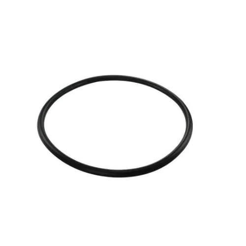 Anel Vedador da Flange da Bomba de Combustível - DS 1457