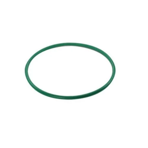 Anel Vedador Flange Bomba Combustível - DS 1462