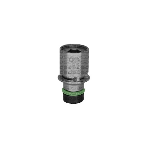 REGULADOR PRESSAO - DS 11310