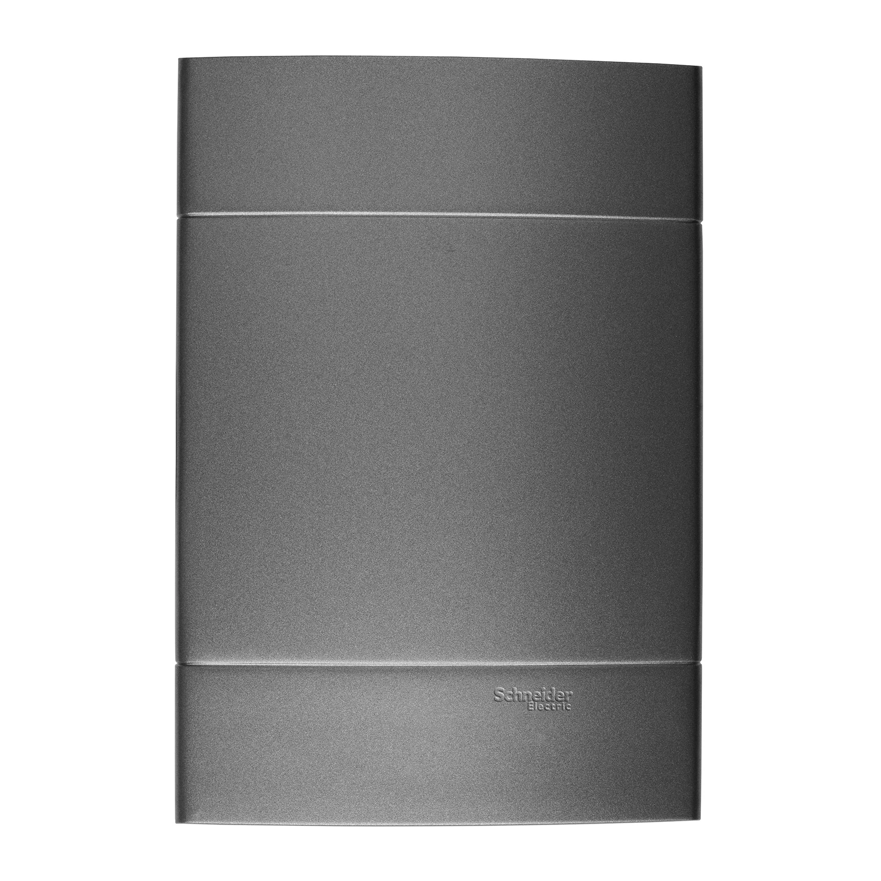 Placa 4X2 Cega Prata Fume Decor Schneider