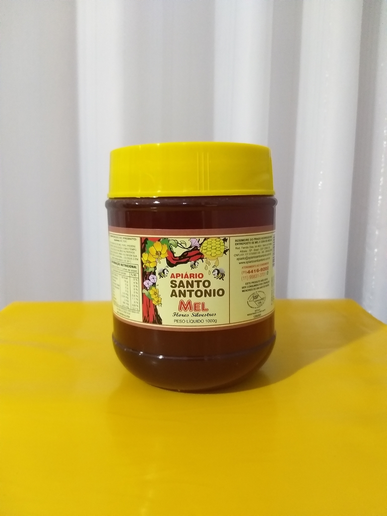 Mel Silvestres Bisnaga 1000g Santo Antonio