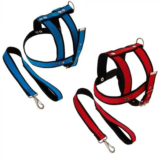 Sopets Peitoral Com Guia De Seda Dupla Especial N06