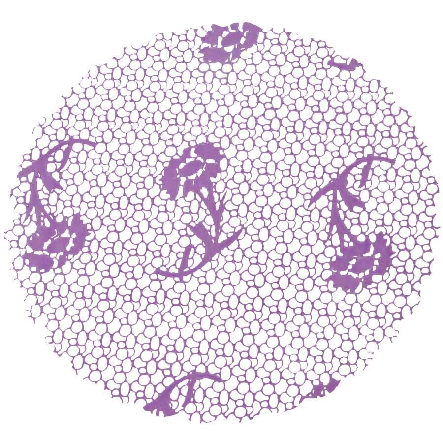 Fundo Dec. N7 Renda Lilas C/100un
