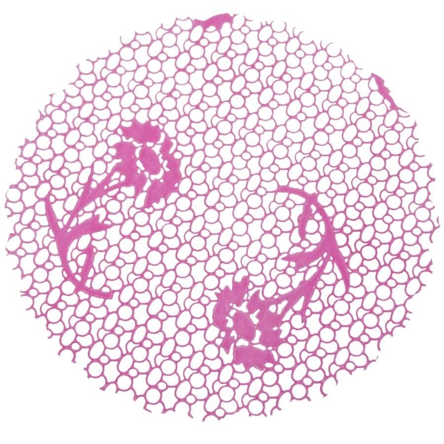 Fundo Dec. N7 Renda Rosa C/100un