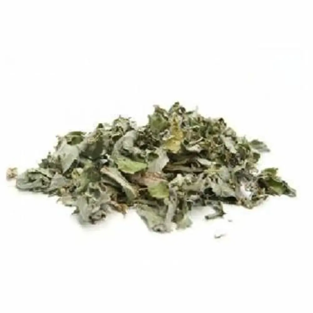 Granel Alcachofra Linea Verde