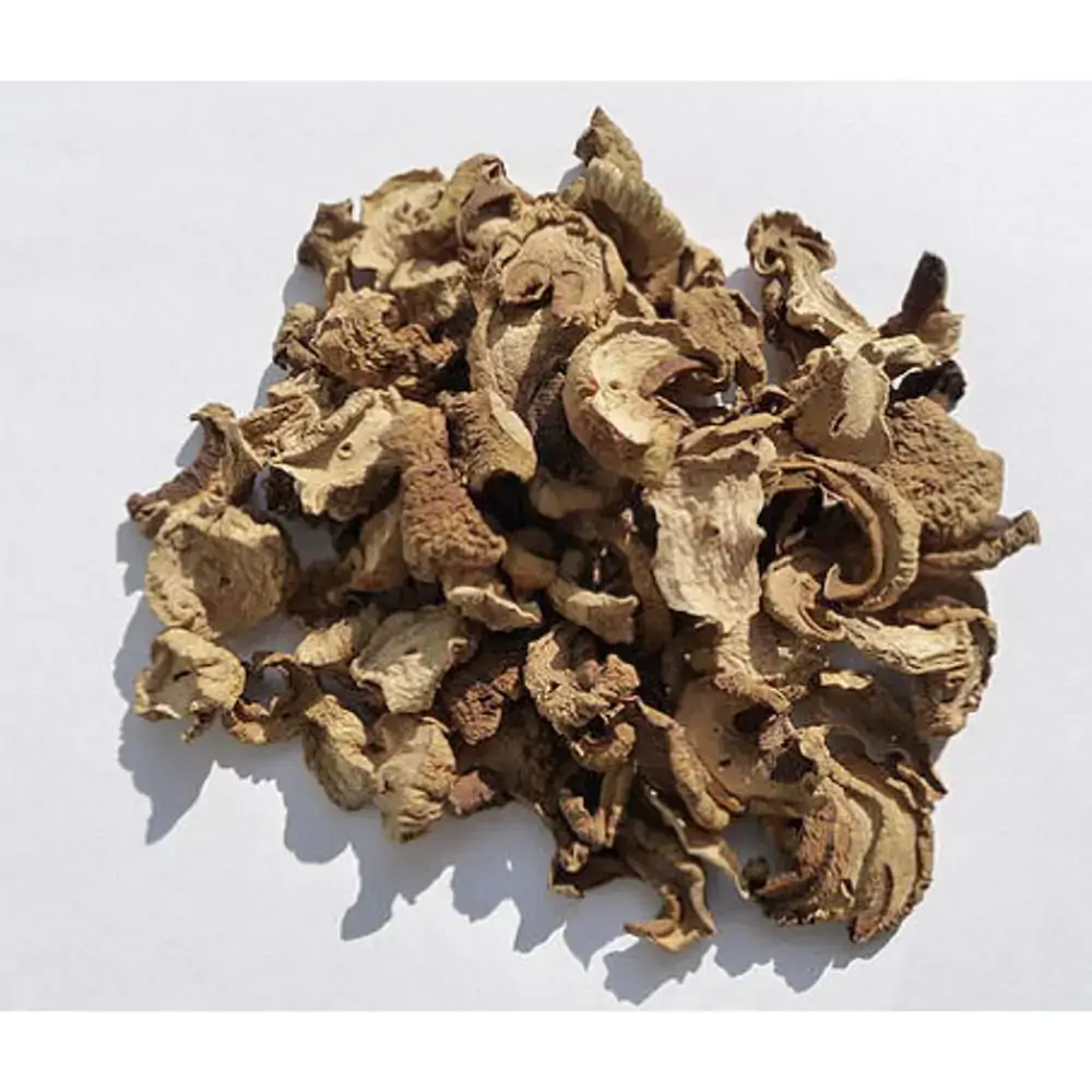 Cogumelo Funghi 1 Kg Linea