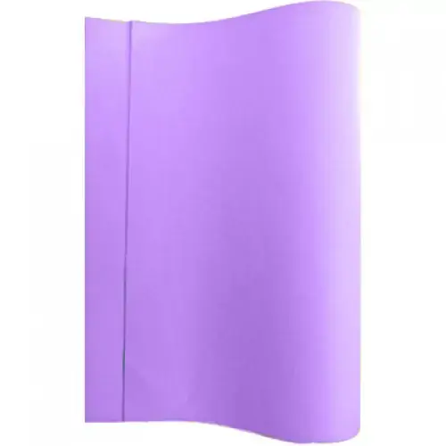 Papel Color Set 48x66cm Lilas Candy 111586 Reipel