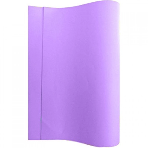 Papel Color Set 48x66cm Lilas Candy 111586 Reipel
