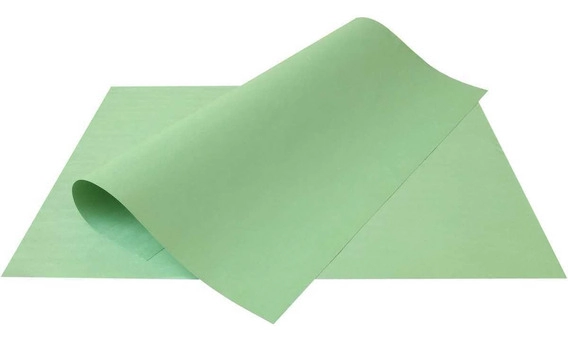 Cartolina 120gr 50x66cm Verde C 2pcs 111236 Reipel