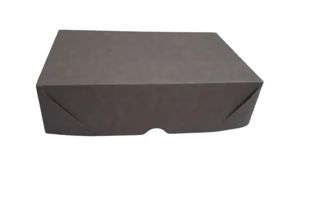 Caixa Ret S/visor Kraft 16x24x6cm