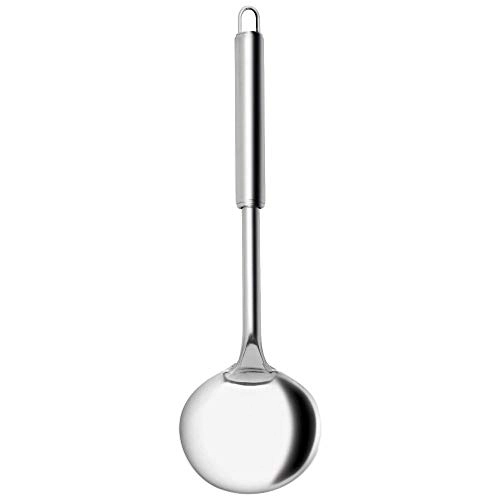 Concha Yangzi Aço Inox