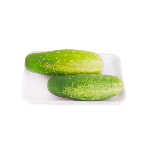 Pepino Caipira Hortmix Bd