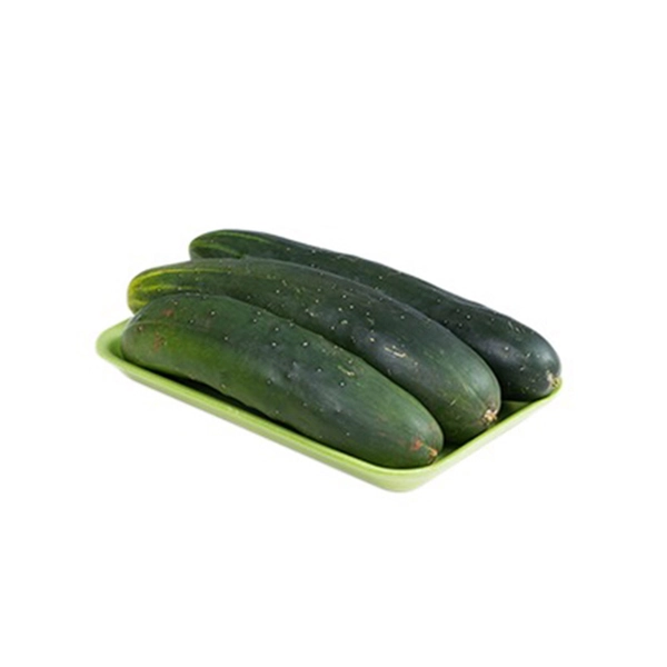 Pepino Comum Hortmix Bd