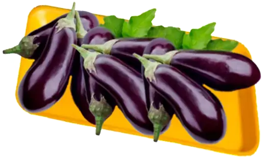 Mini Berinjela Hortimix 250gr