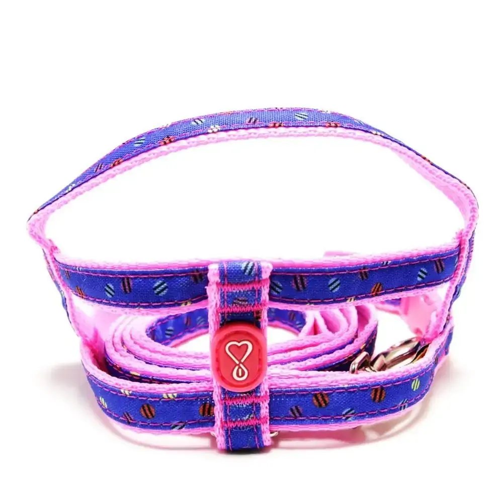Conjunto peitoral e guia nylon rosa e azul Messina nro 2 Coltelli