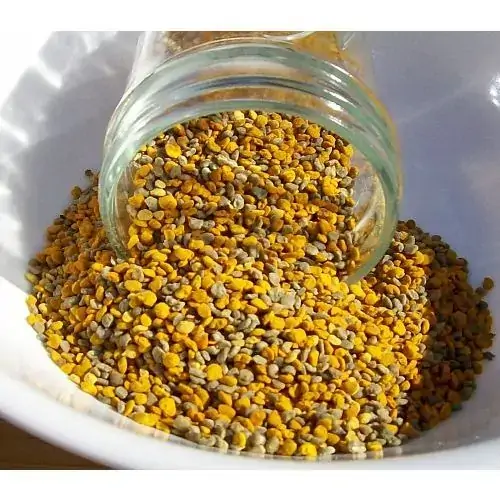 Pólen 100g Cha E Cia